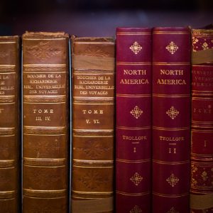 A collection of vintage hardcover books on a library shelf, showcasing historical literature.
